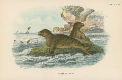 Voyage of the Basset (英語) 大型本 www.pegasusforkids.com